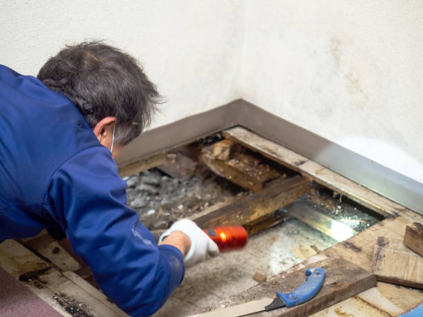 Best Crawl Space Mold Removal  in Leavittsburg, OH