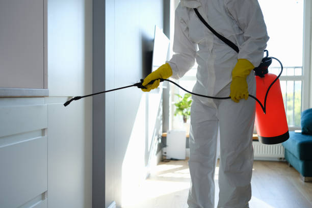 Best Professional Mold Removal  in Leavittsburg, OH