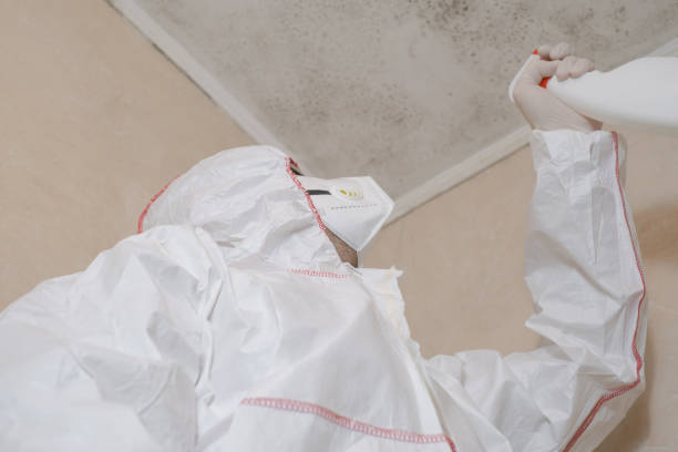 Best Mold Removal Company Near Me  in Leavittsburg, OH